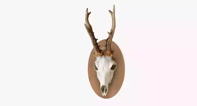 Deer Skull Wall Trophy