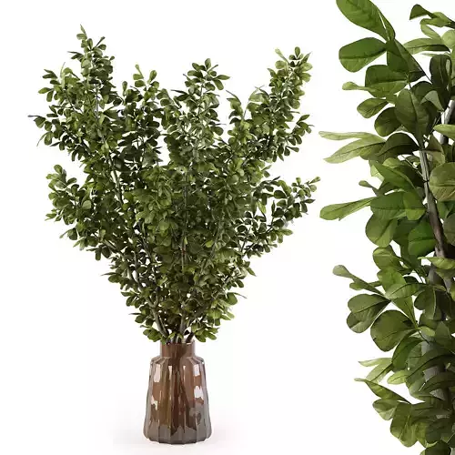 Branches in a vase 018