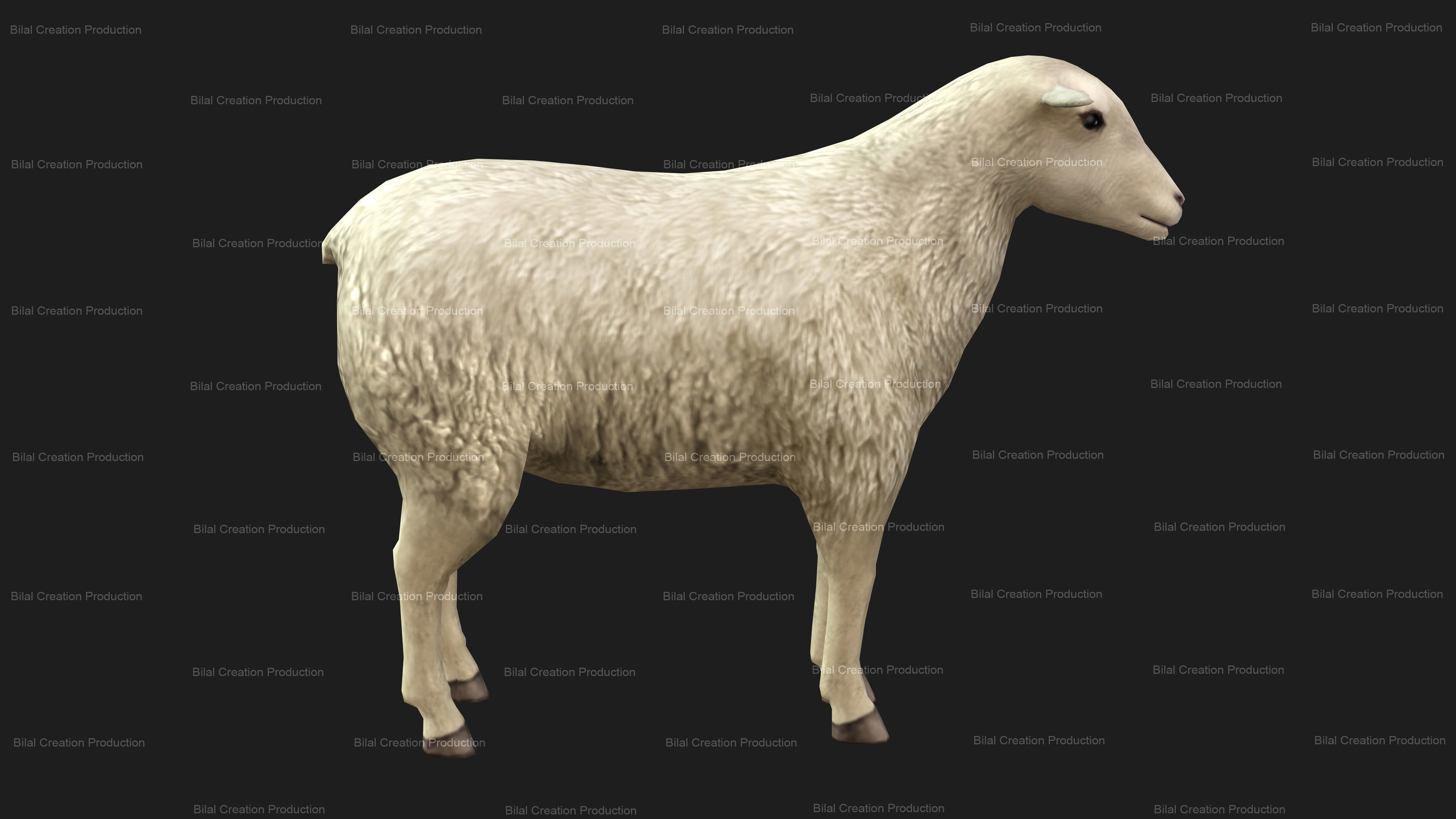 Sheep Animated Low-poly 3D model_6