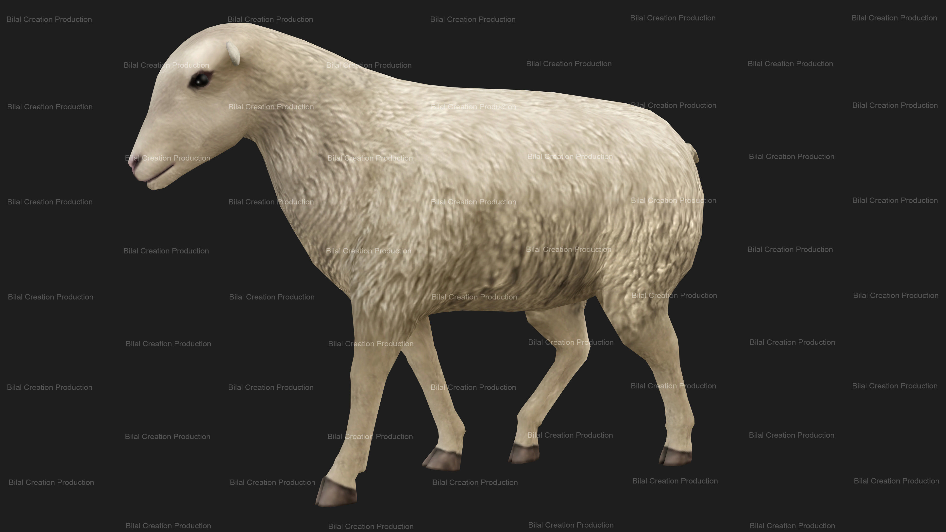 Sheep Animated Low-poly 3D model_12