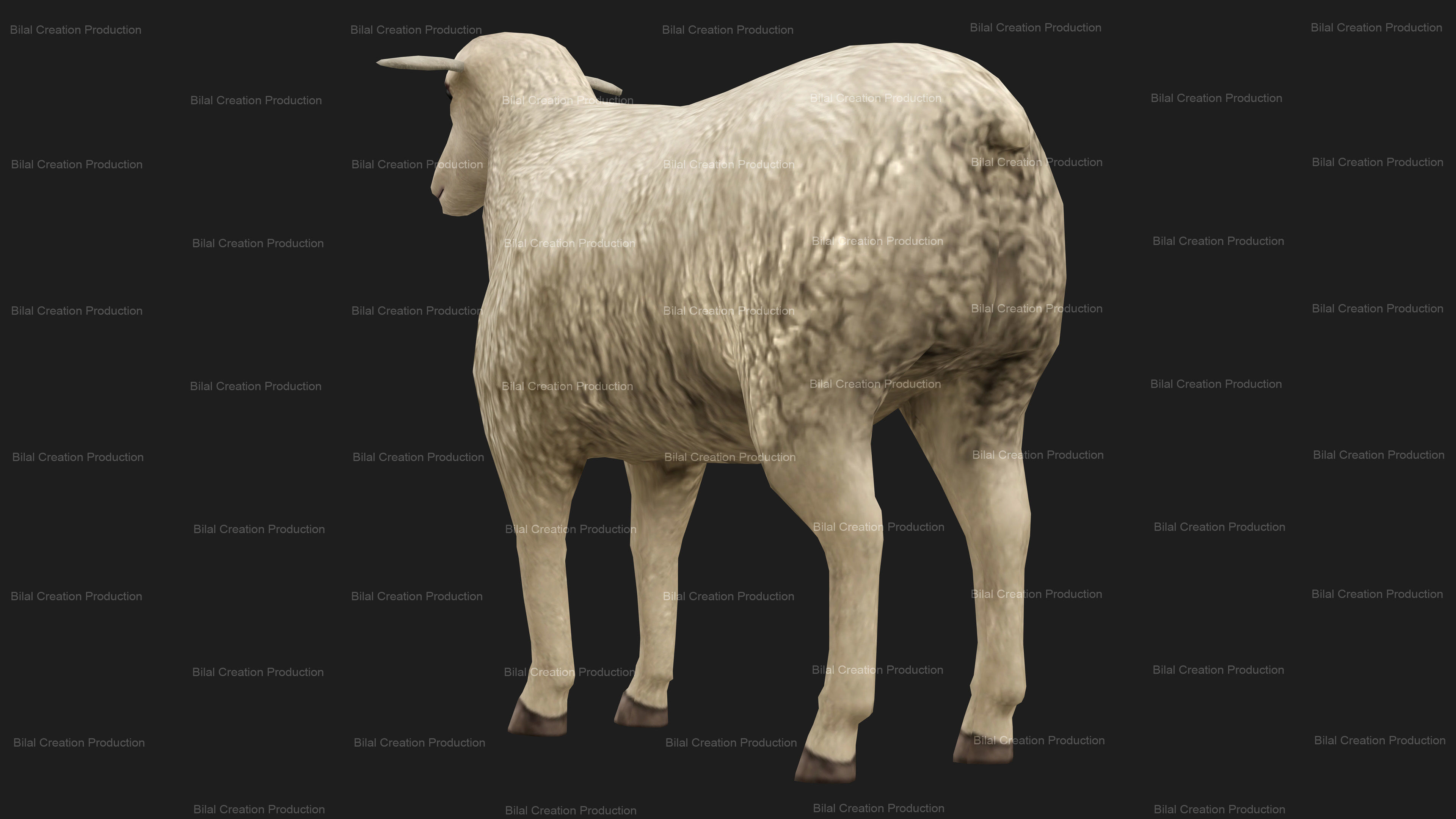 Sheep Animated Low-poly 3D model_11