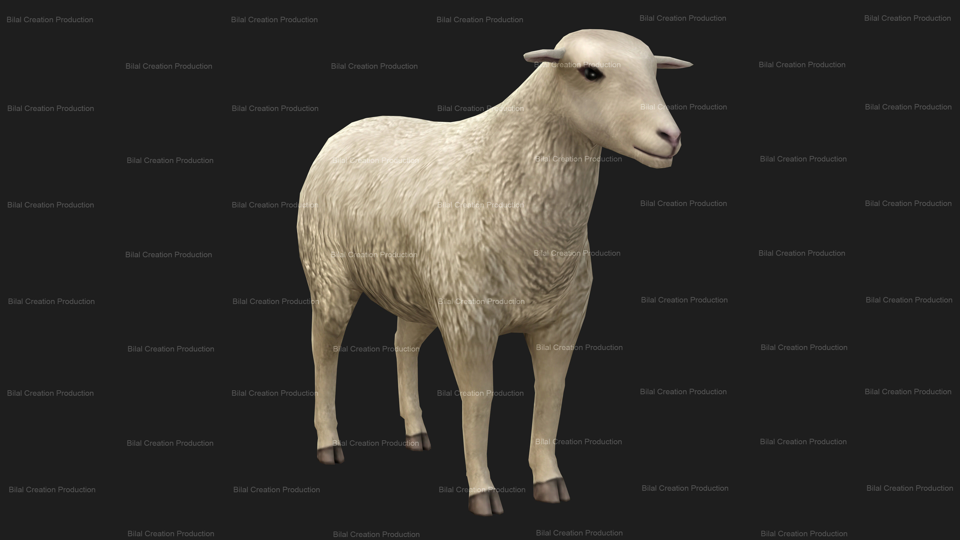 Sheep Animated Low-poly 3D model_5