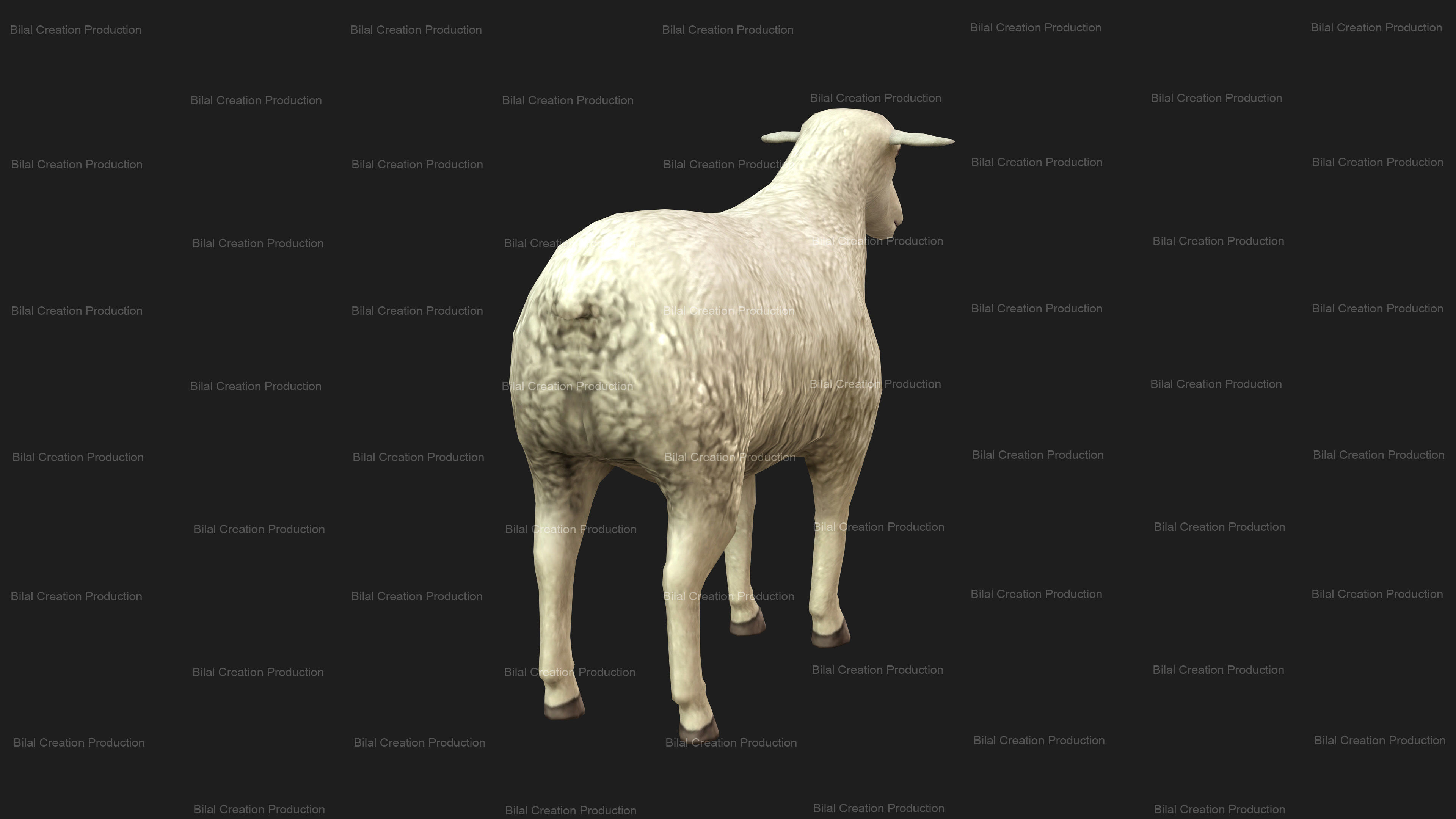 Sheep Animated Low-poly 3D model_7