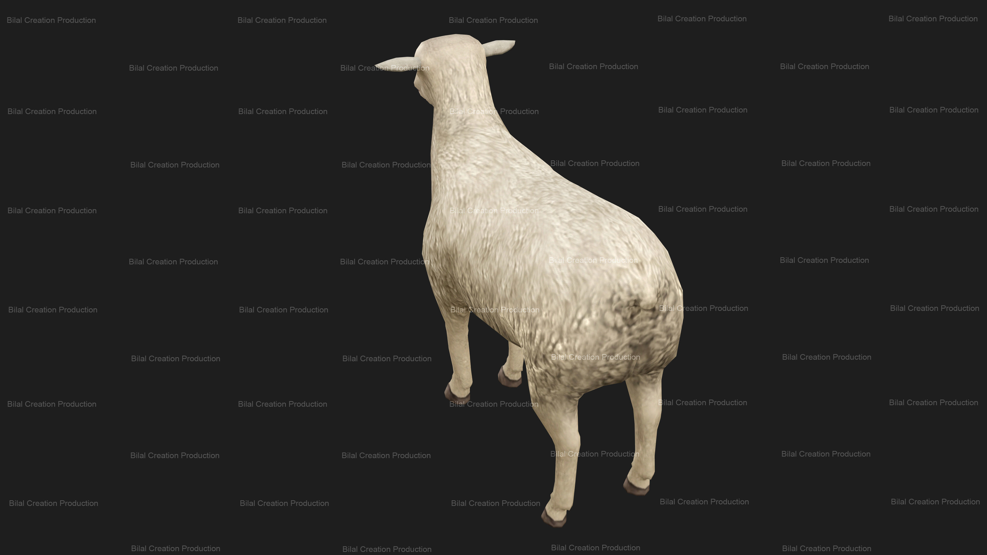 Sheep Animated Low-poly 3D model_10