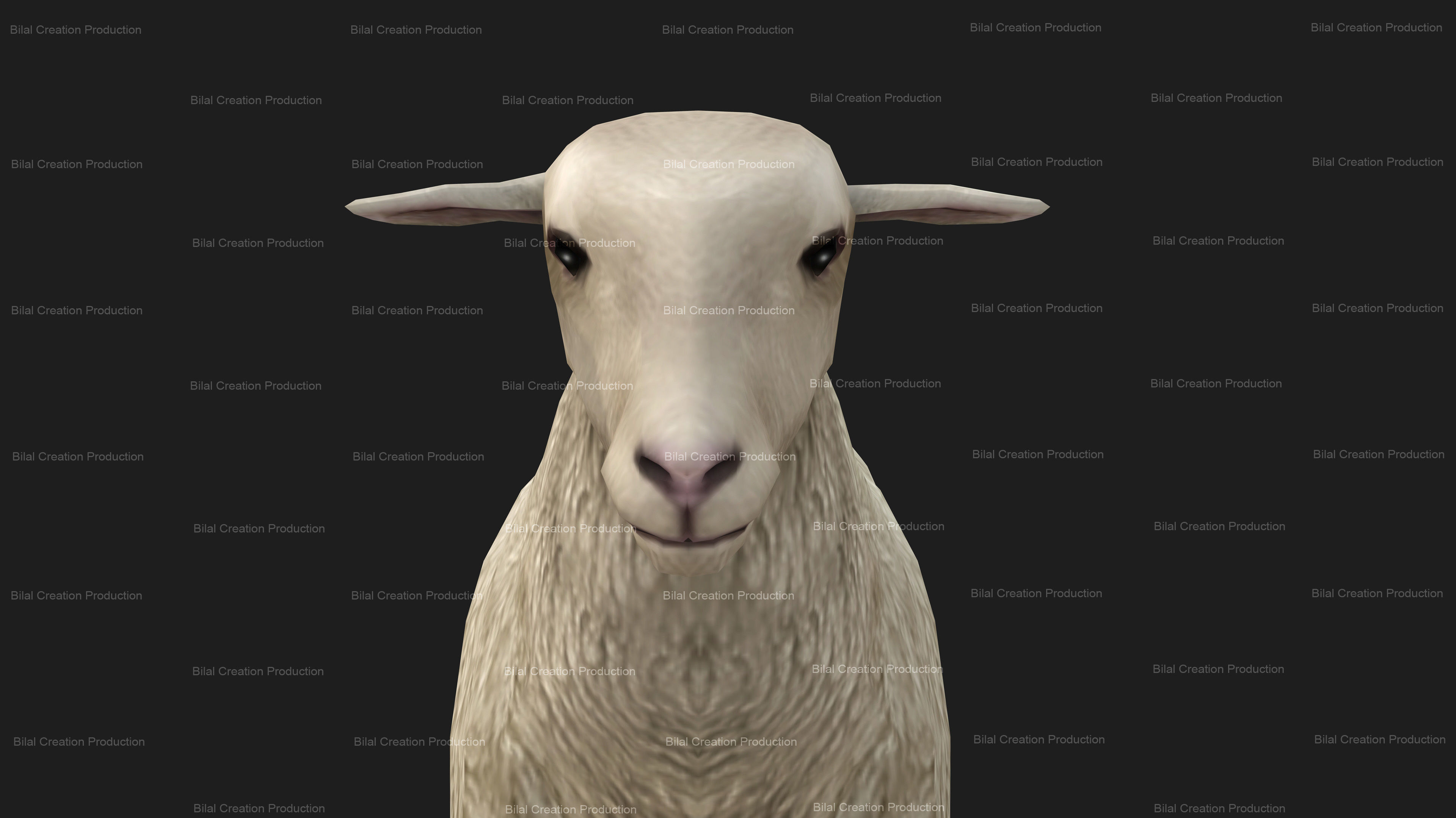 Sheep Animated Low-poly 3D model_8