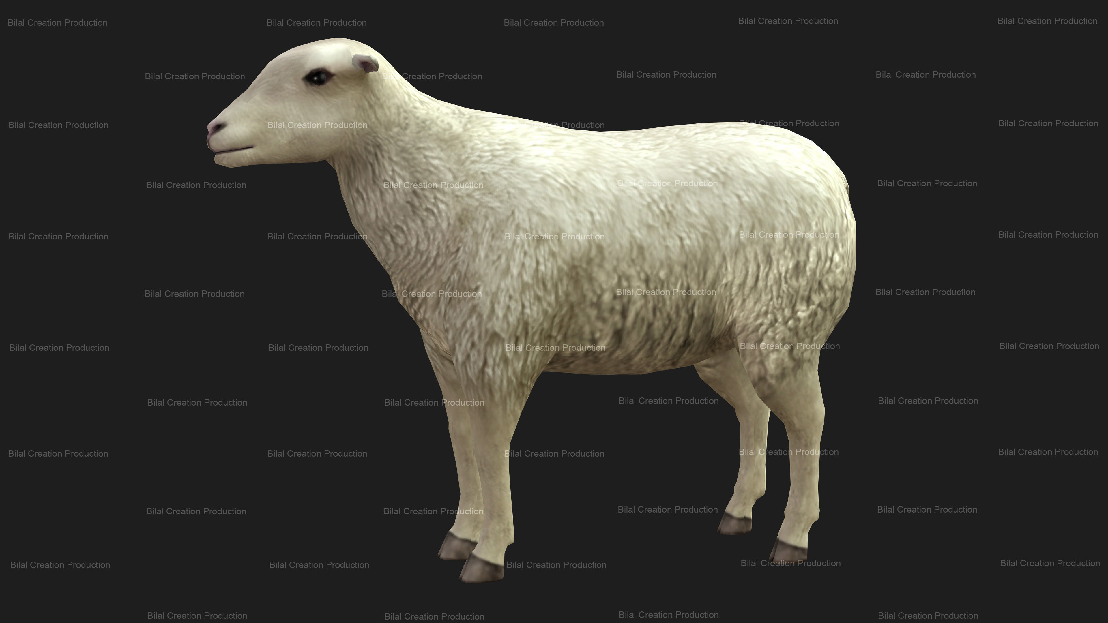 Sheep Animated Low-poly 3D model_4