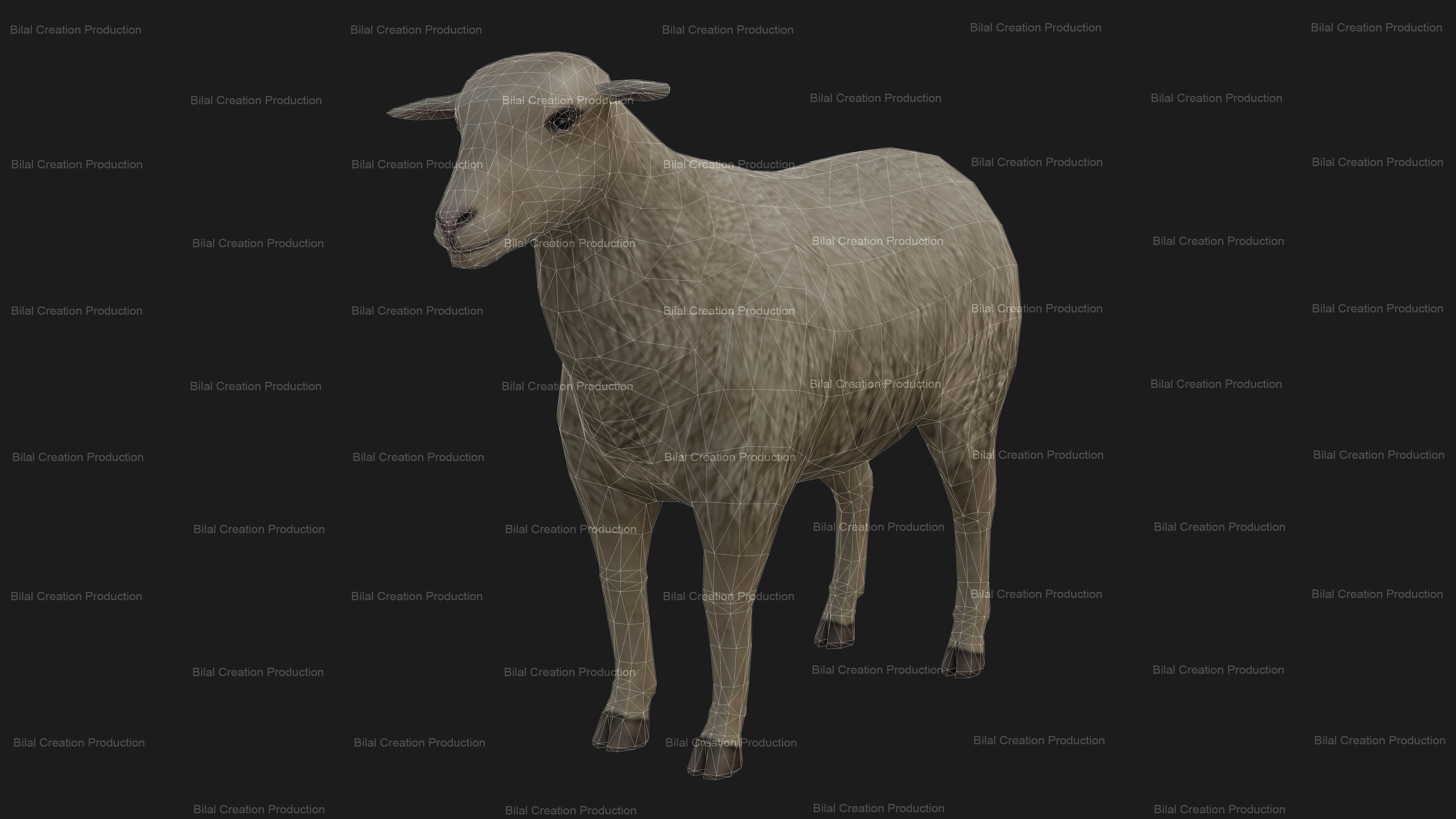 Sheep Animated Low-poly 3D model_16