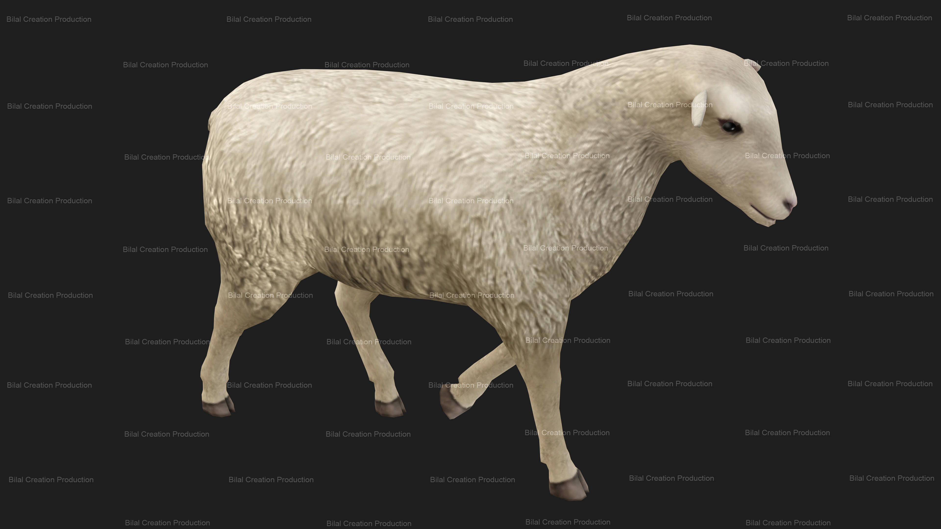Sheep Animated Low-poly 3D model_14
