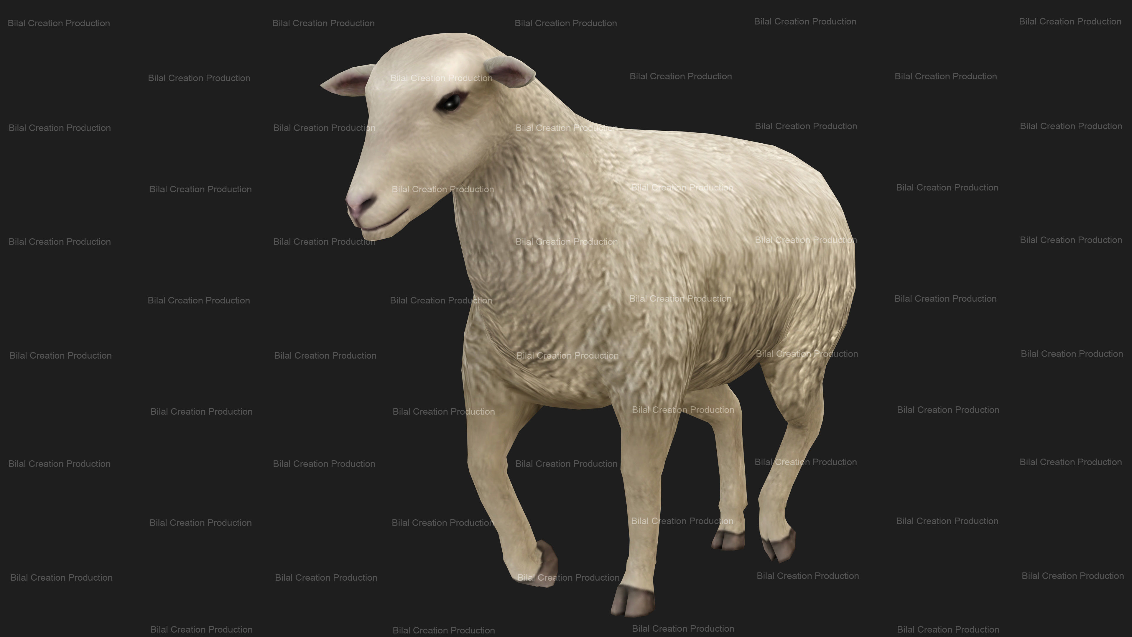 Sheep Animated Low-poly 3D model_13