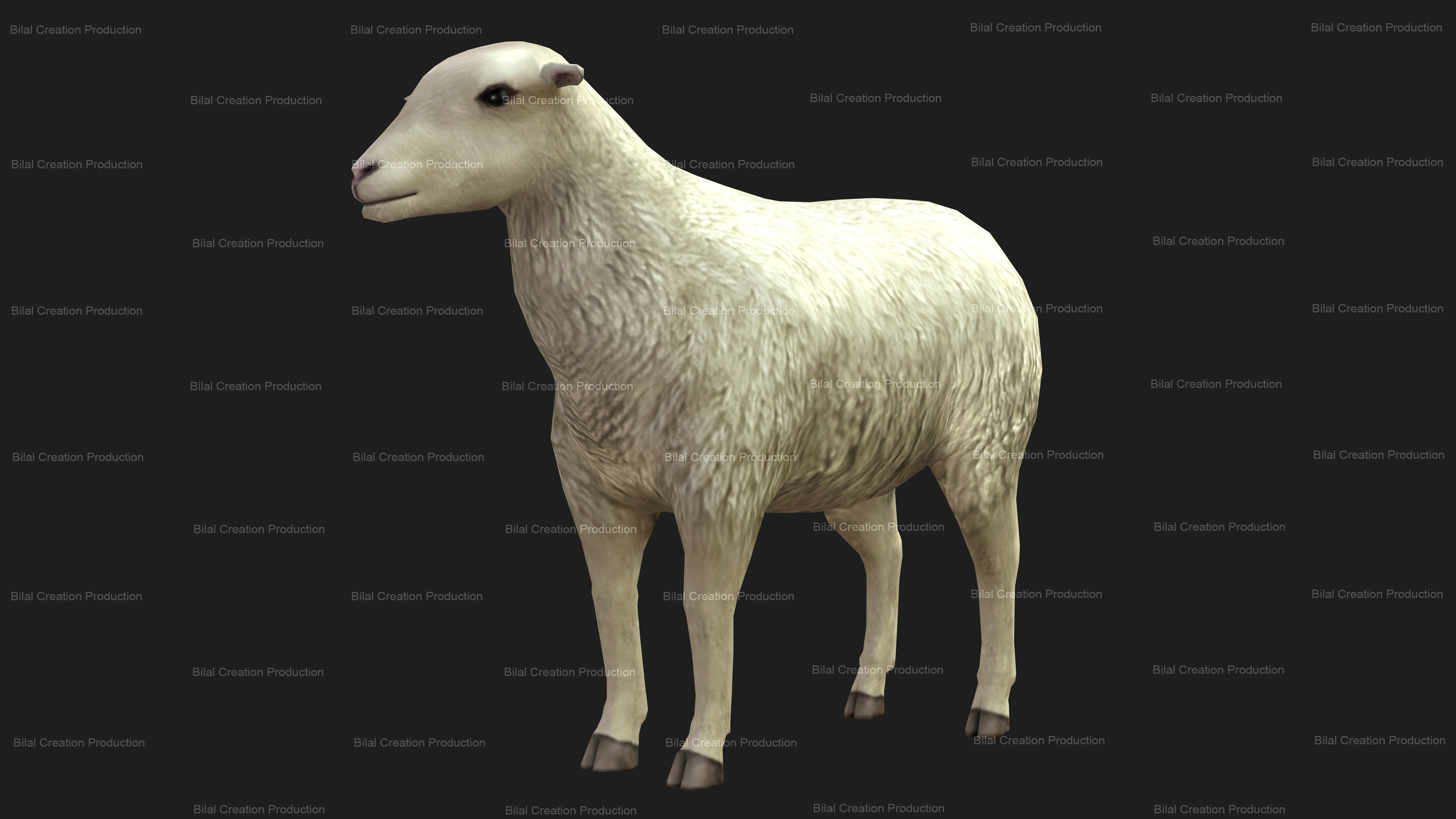 Sheep Animated Low-poly 3D model_9