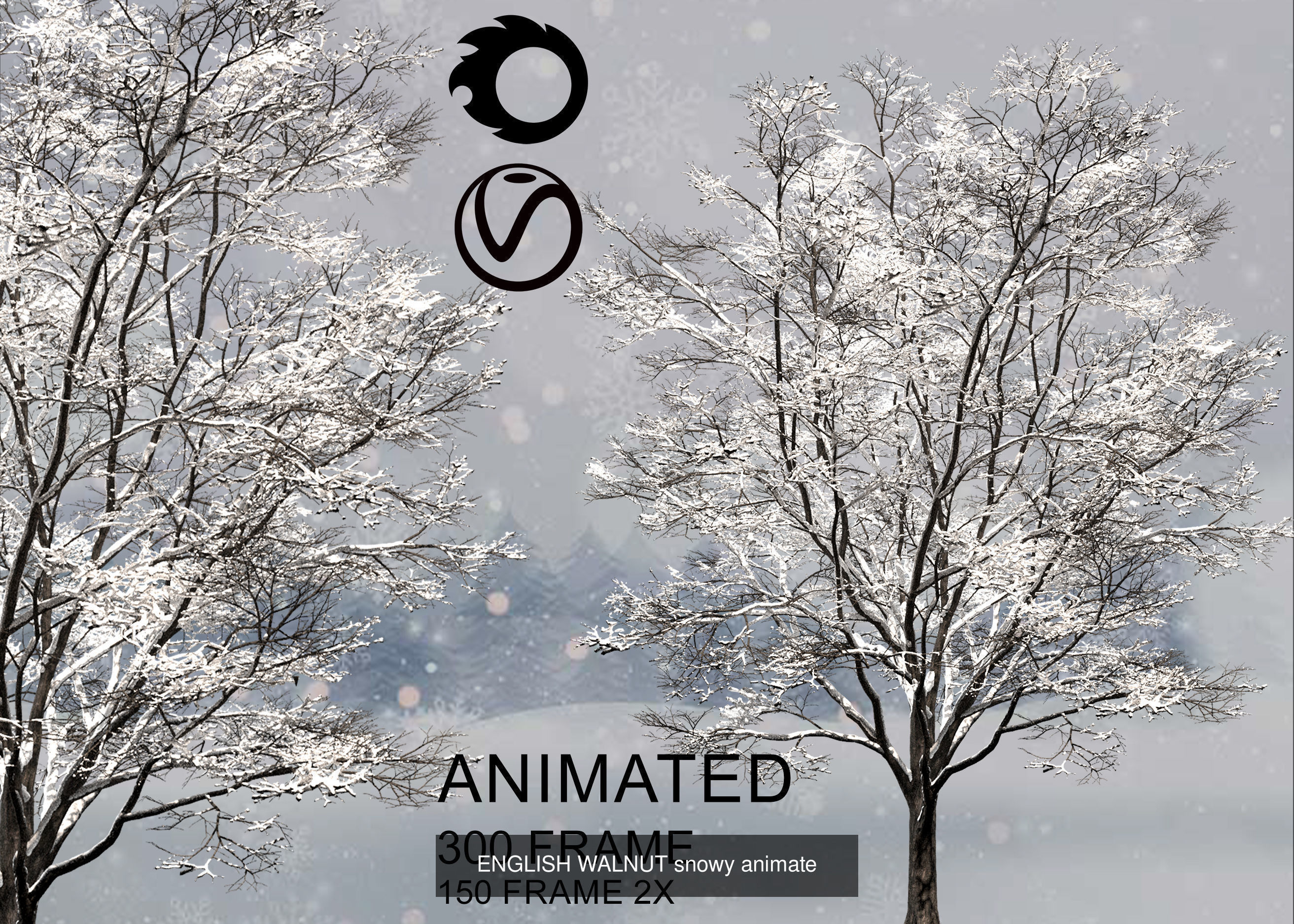 ENGLISH WALNUT 01 3D Model Collection_9