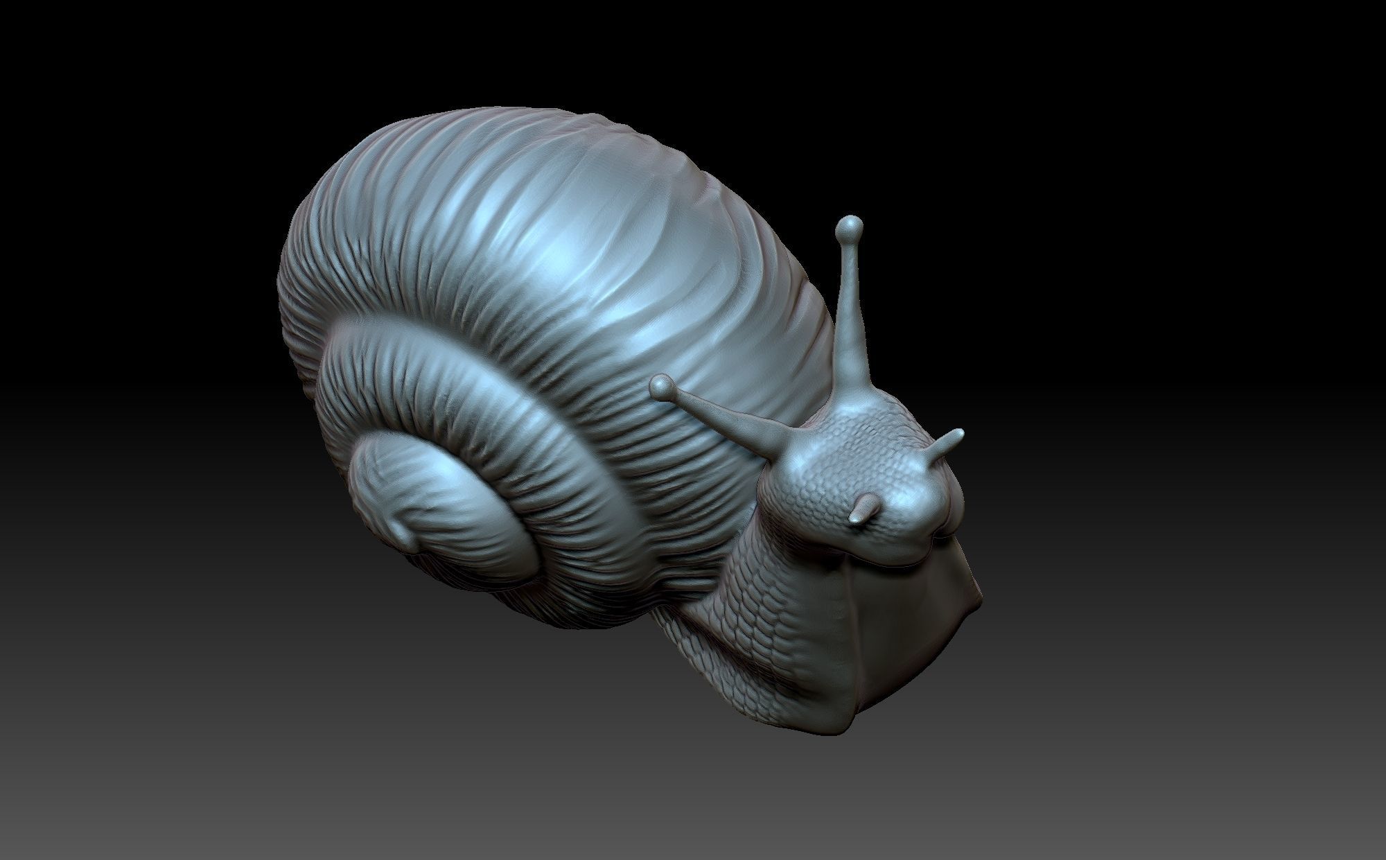 Snail 3D print model_8