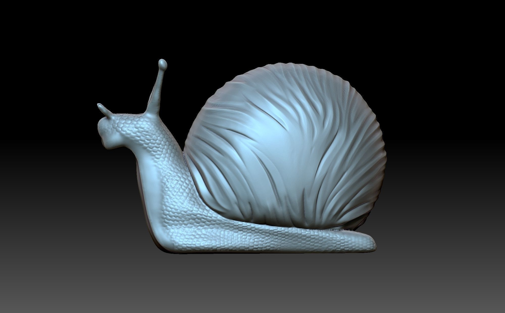 Snail 3D print model_5