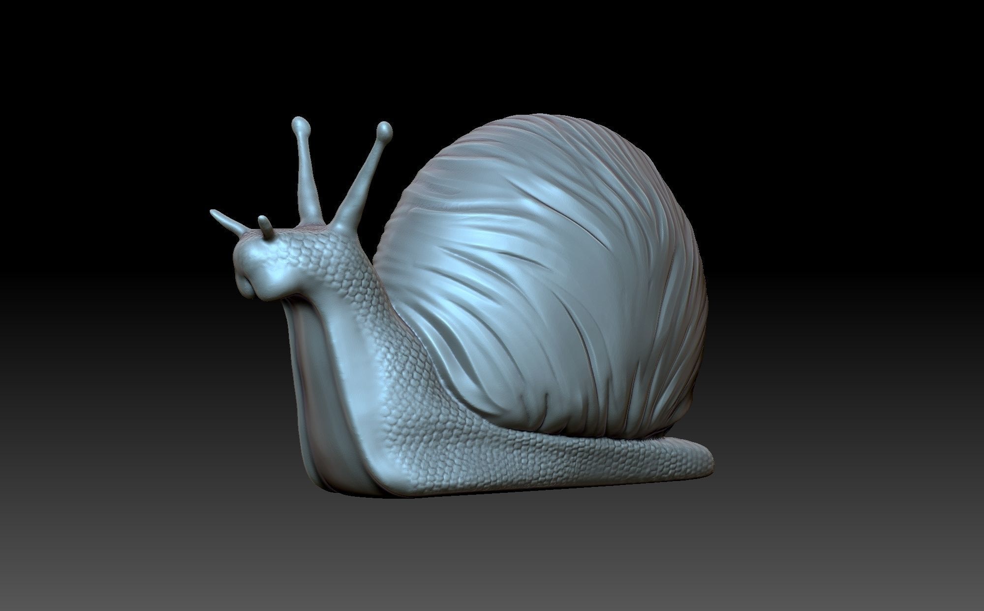 Snail 3D print model_4
