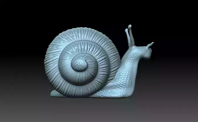 Snail 3D print model