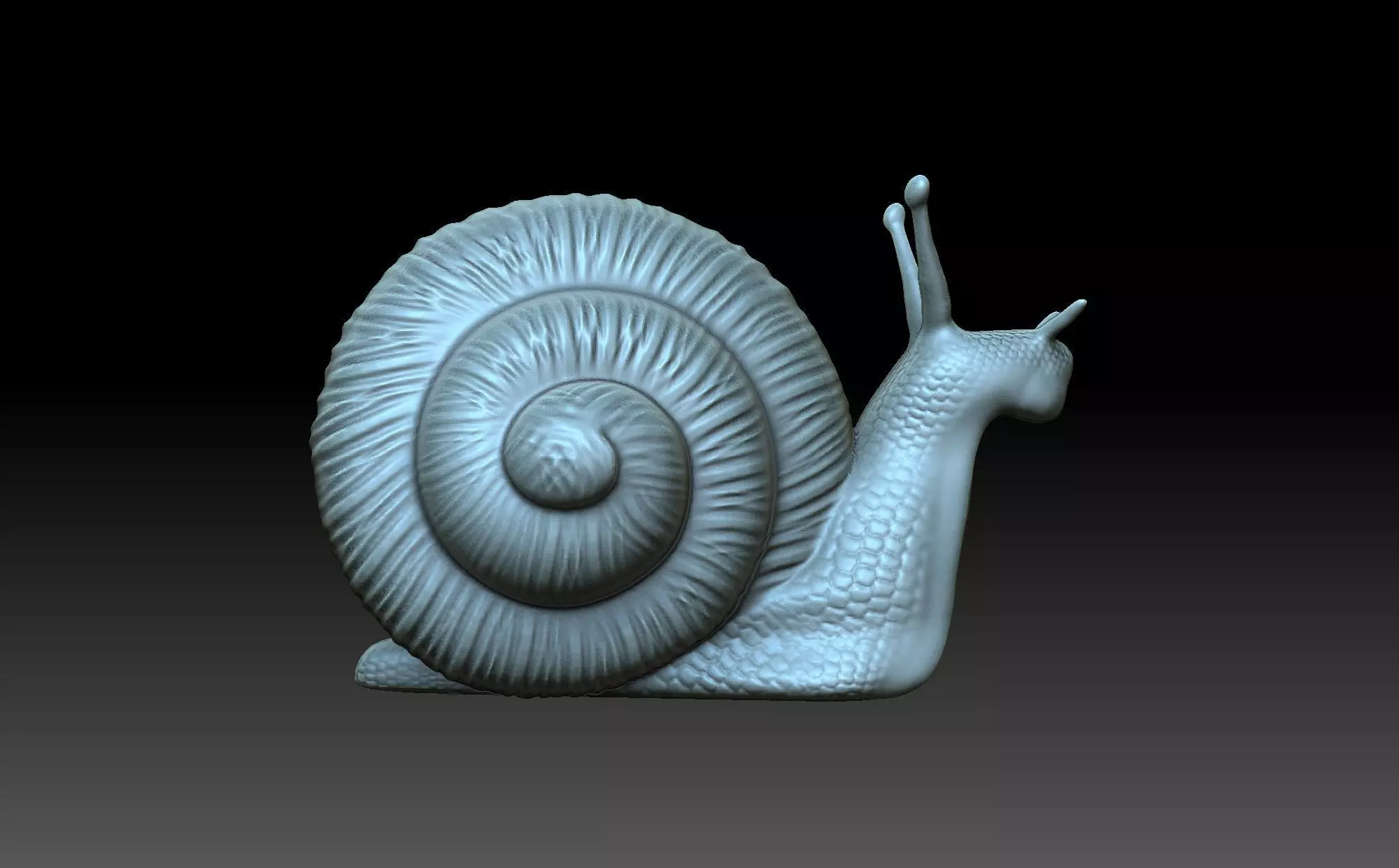 Snail 3D print model_0