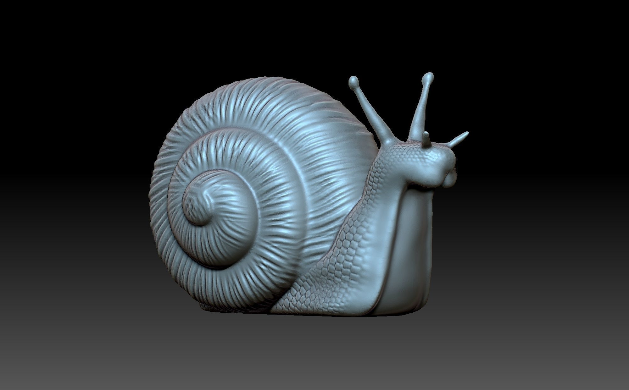 Snail 3D print model_1