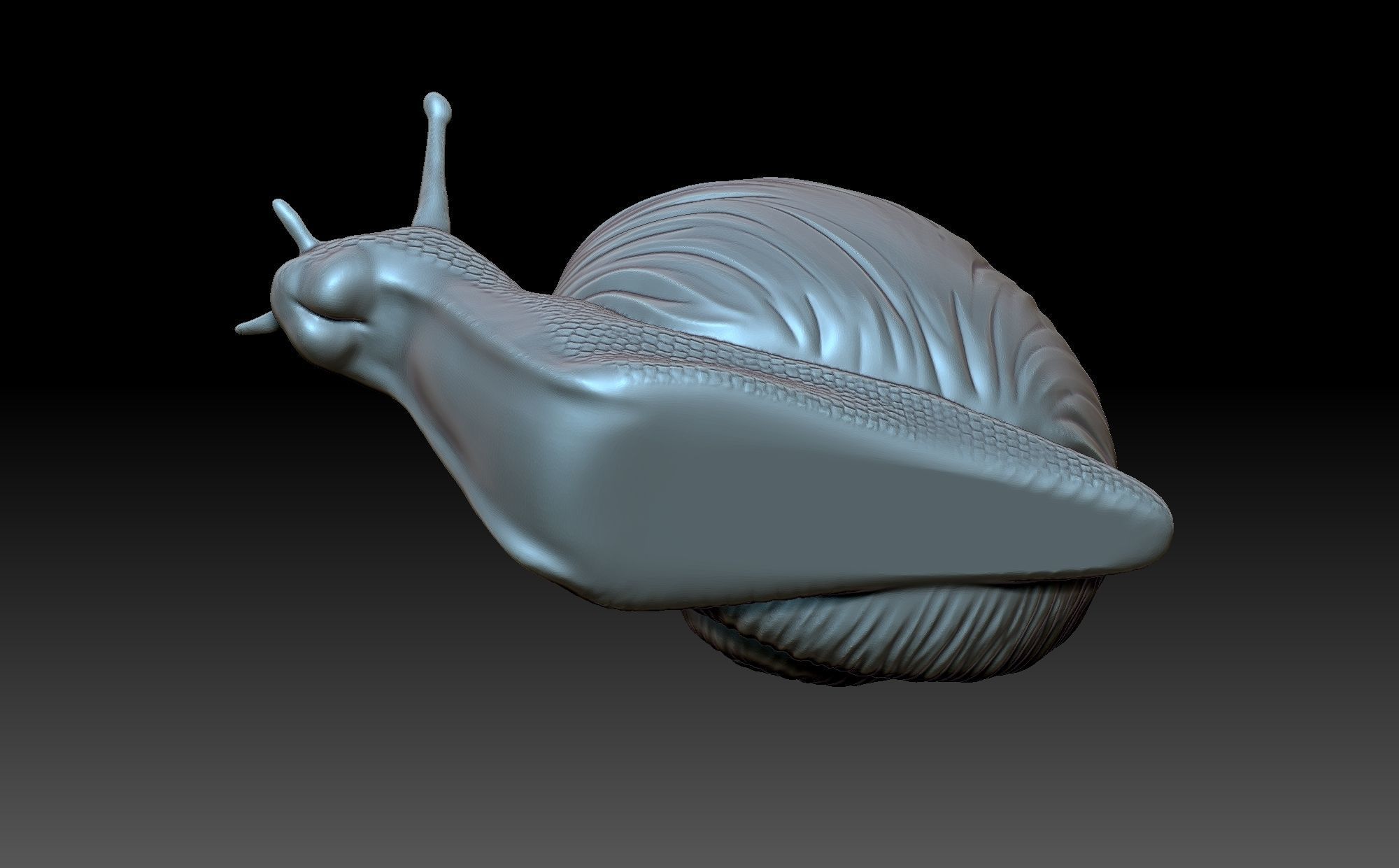Snail 3D print model_10