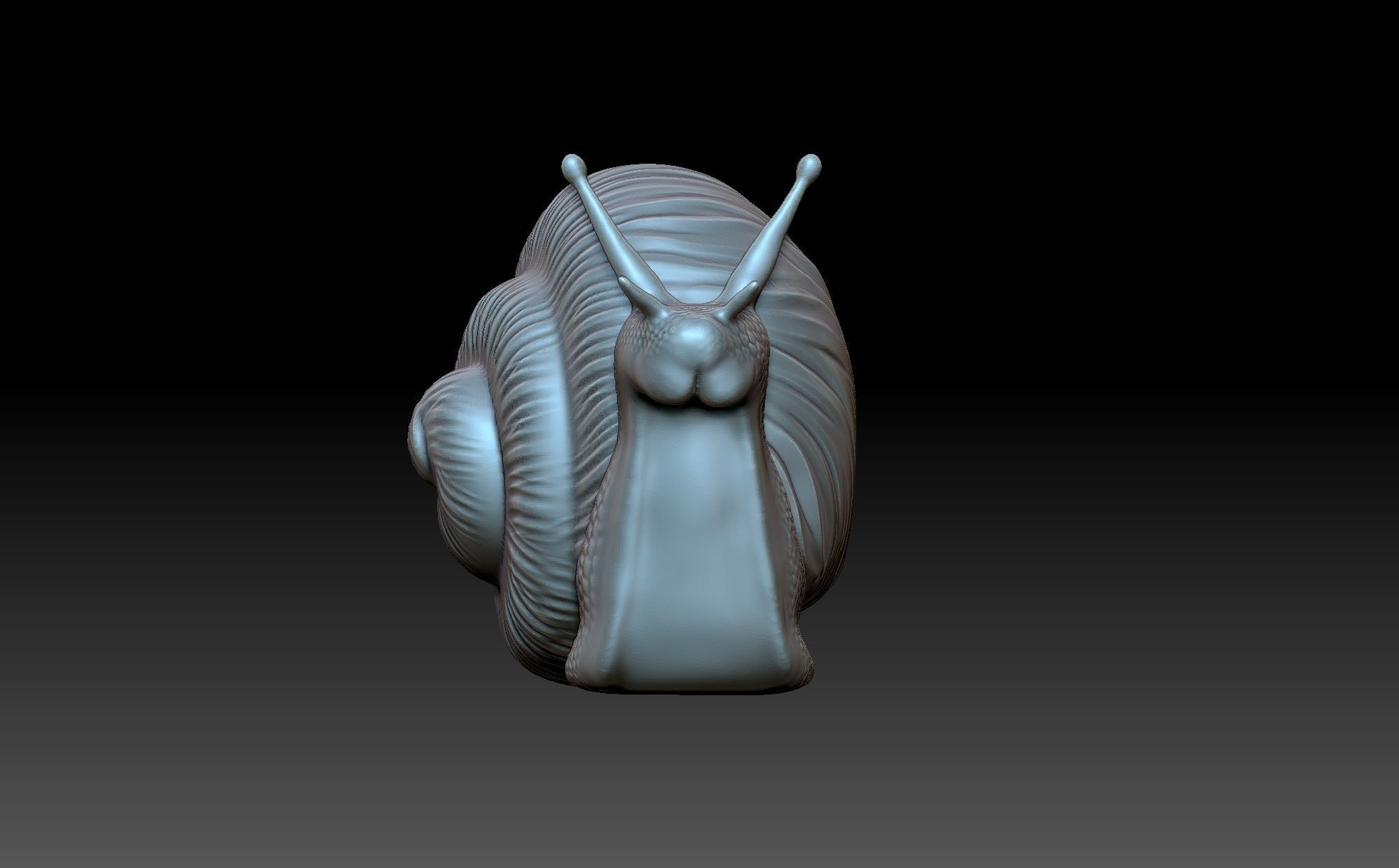 Snail 3D print model_3