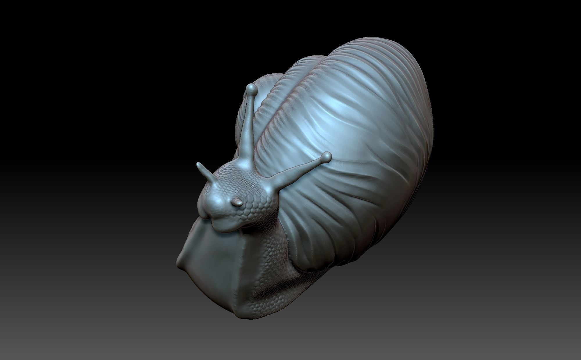 Snail 3D print model_9