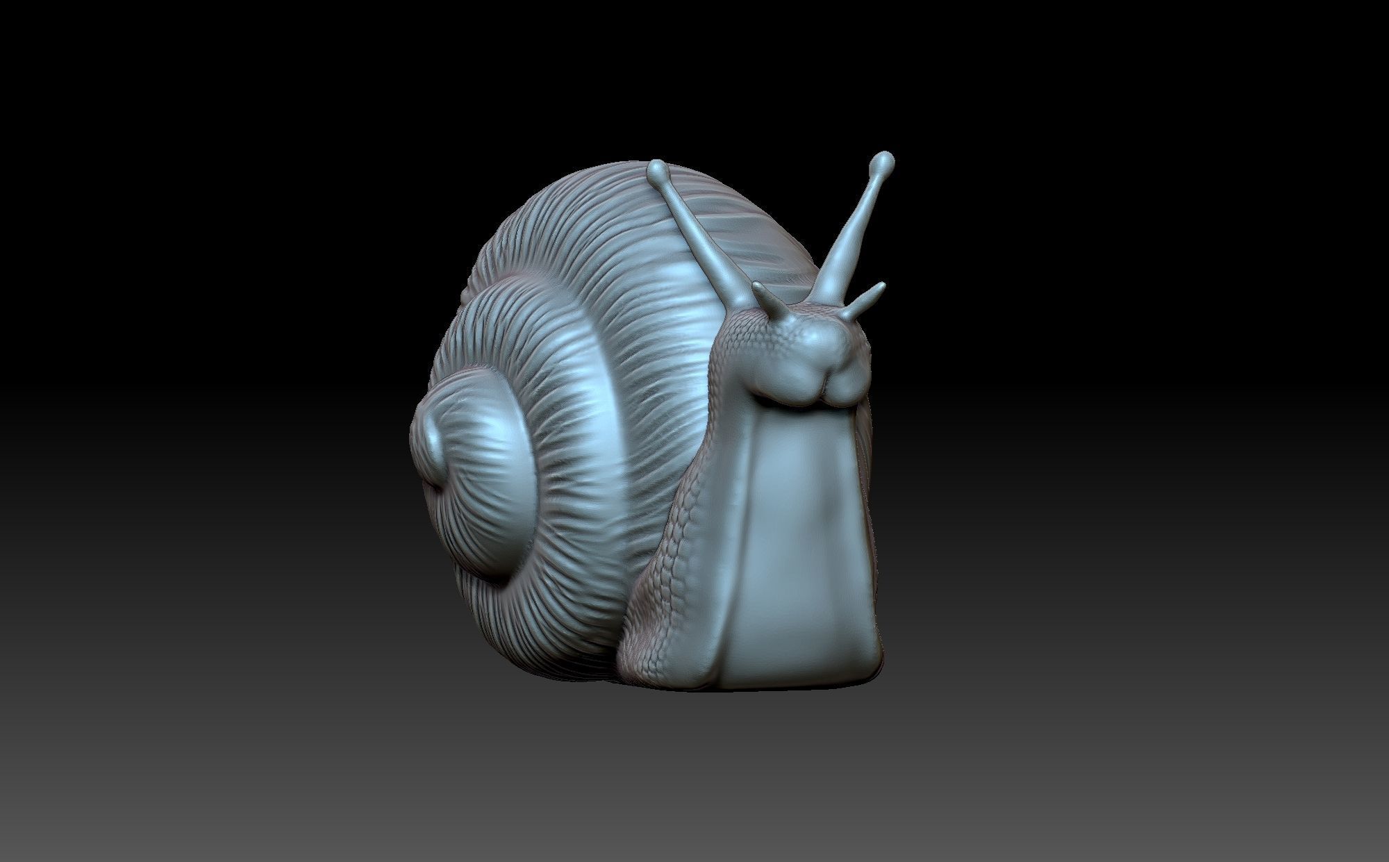 Snail 3D print model_2