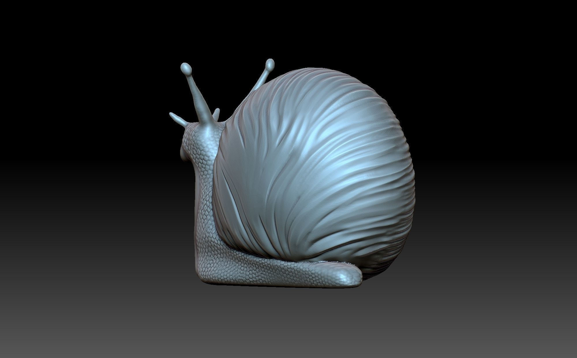 Snail 3D print model_6