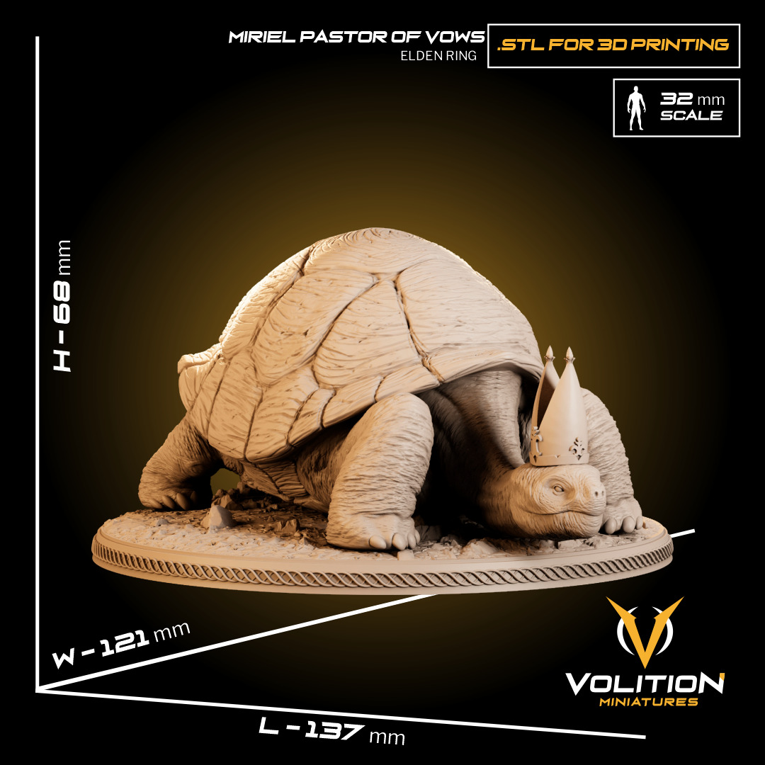 Miriel Pastor of Vows - Miniature for 3D Printing 3D print model_3