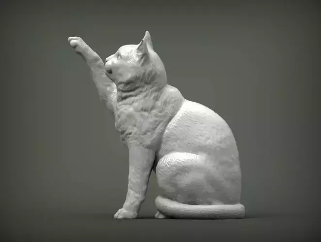 Cat for 3d printing 3D print model