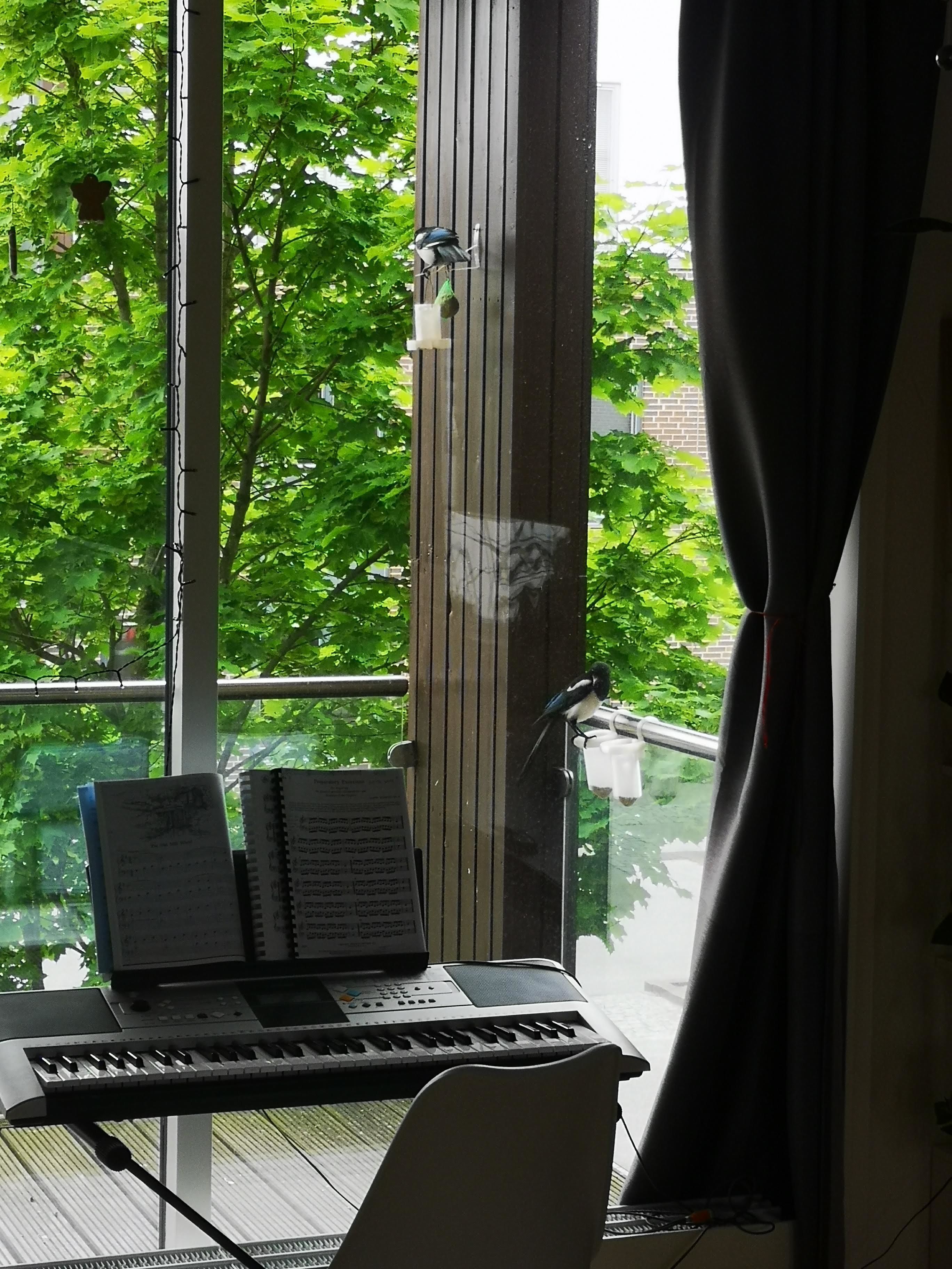 Magpie bird feeder - selective 3D print model_1