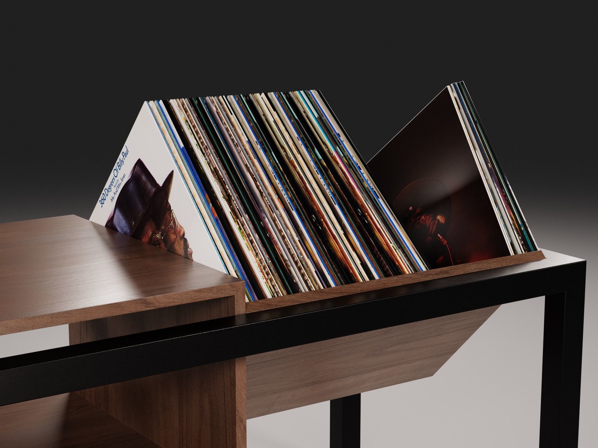 Vinyl Storage No45 3D model_8