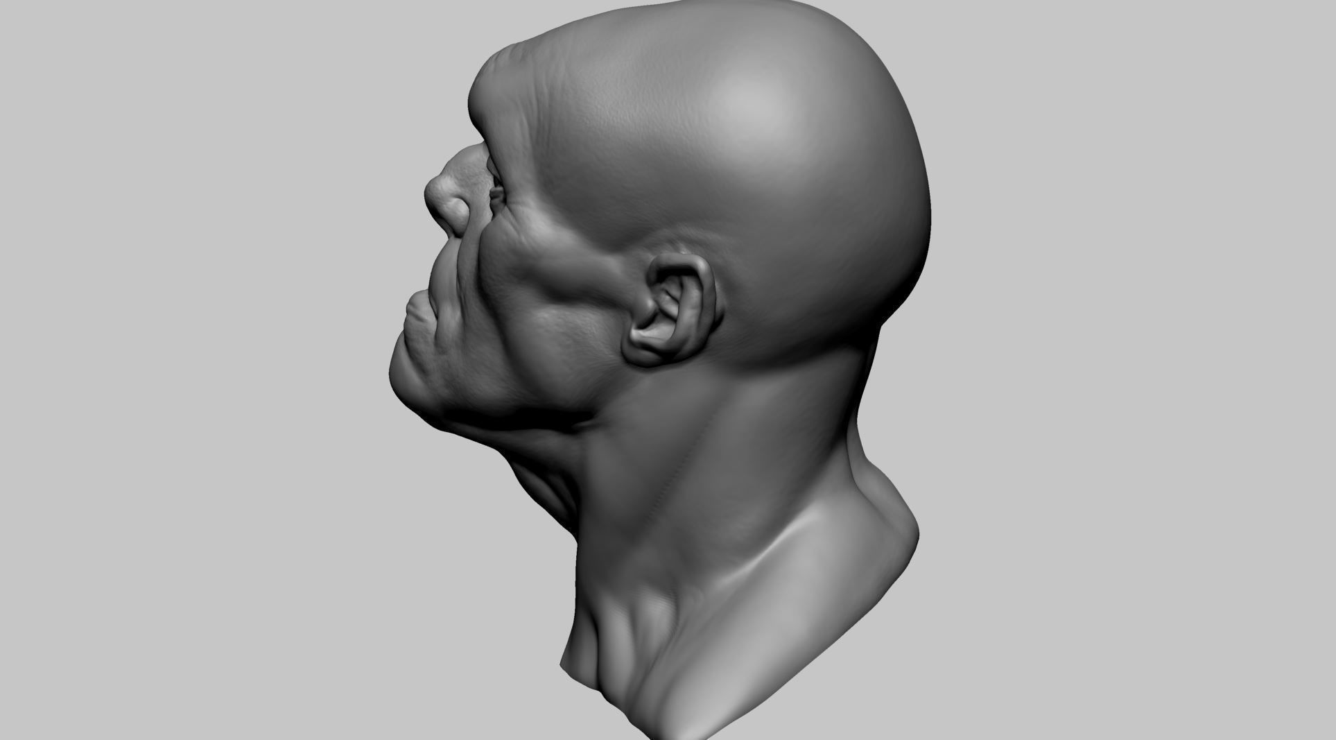 Creature Head H 3D model_6