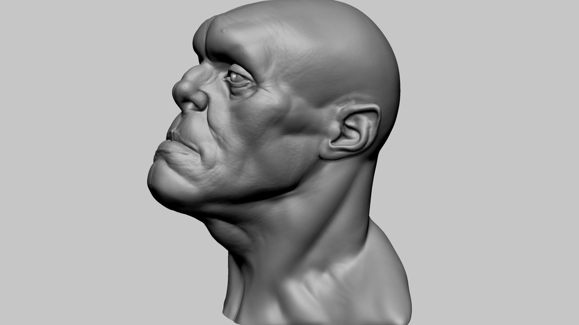 Creature Head H 3D model_7