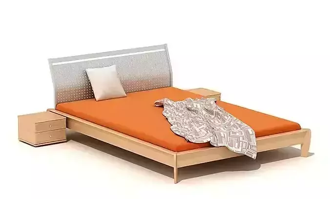 Modern Bed Metal Wooden Stand