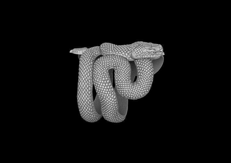 snake ring 3d model for 3d printing 3D print model 3D print model_10