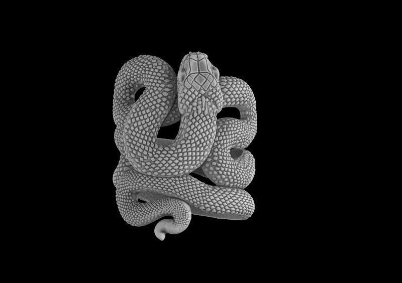 snake ring 3d model for 3d printing 3D print model 3D print model_11