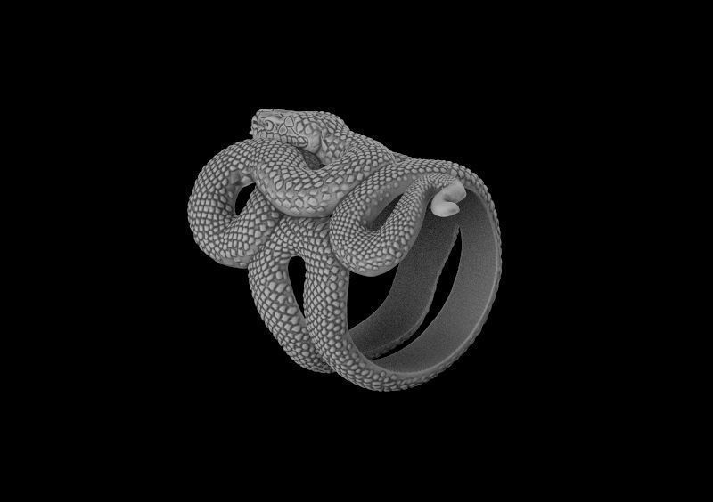 snake ring 3d model for 3d printing 3D print model 3D print model_5