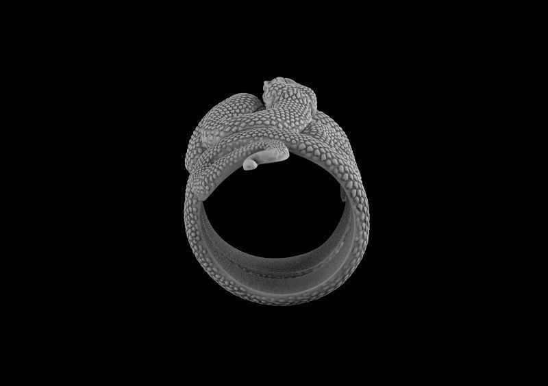 snake ring 3d model for 3d printing 3D print model 3D print model_9