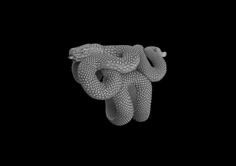 snake ring 3d model for 3d printing 3D print model 3D print model_8