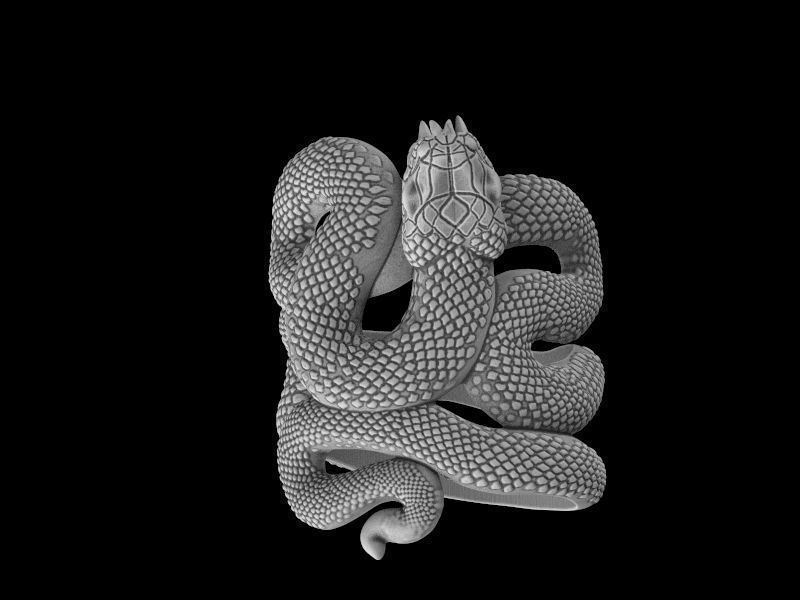 Snake ring 3D model for 3d printing  model 3D print model_12