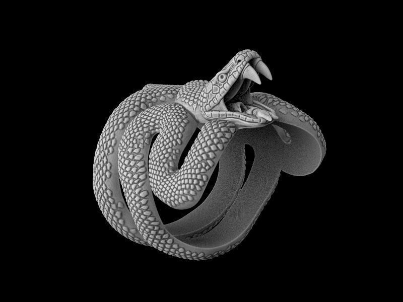 Snake ring 3D model for 3d printing  model 3D print model_7