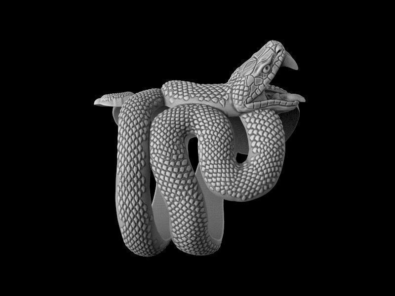 Snake ring 3D model for 3d printing  model 3D print model_6