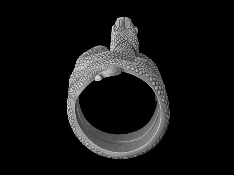Snake ring 3D model for 3d printing  model 3D print model_15