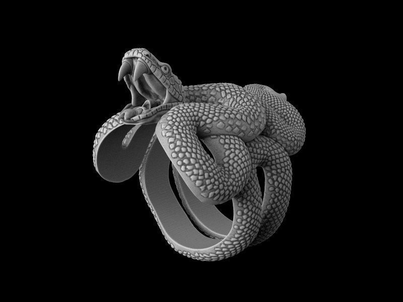 Snake ring 3D model for 3d printing  model 3D print model_11
