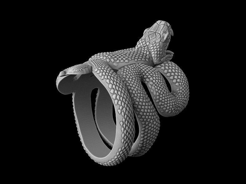 Snake ring 3D model for 3d printing  model 3D print model_16