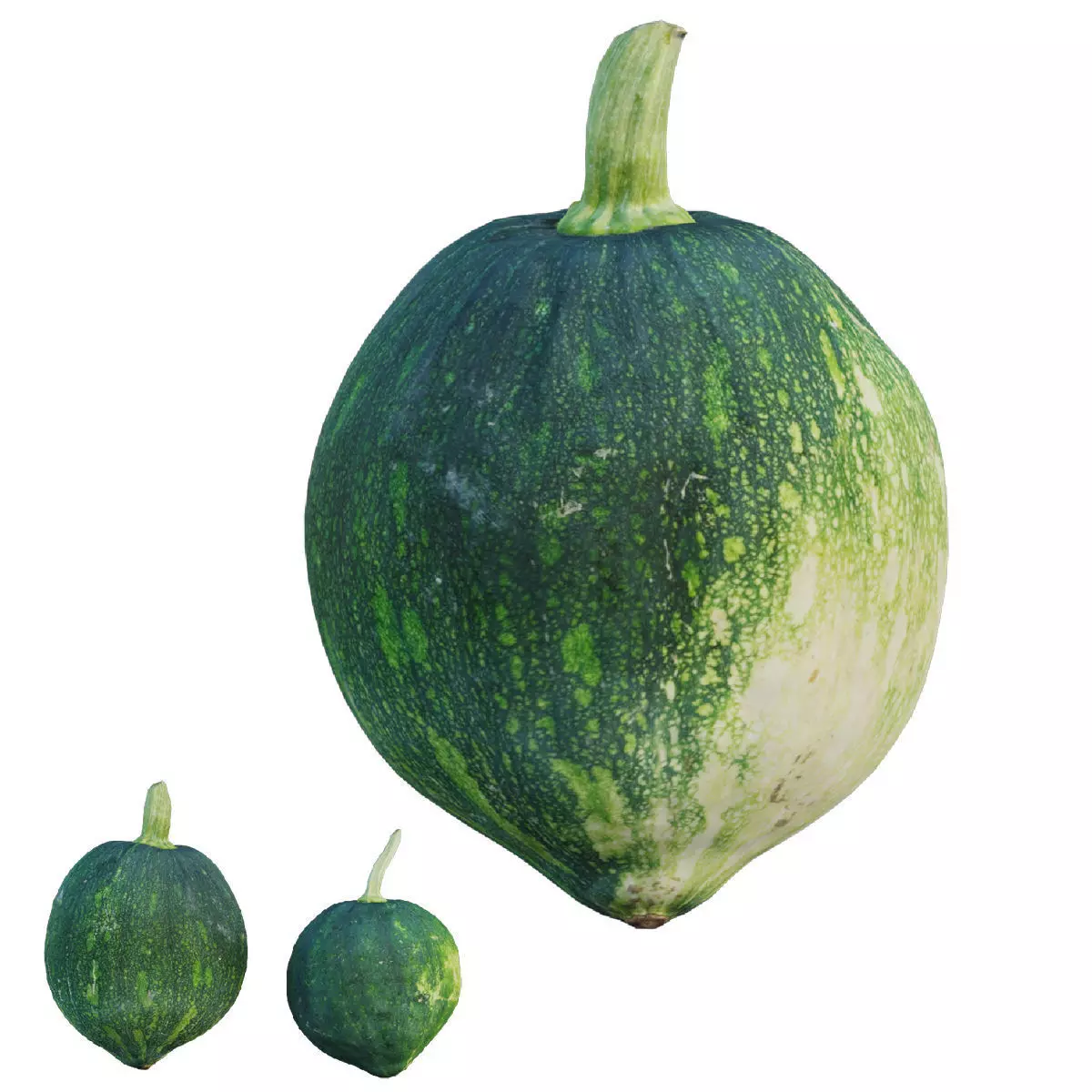 Kabocha Squash 3D model