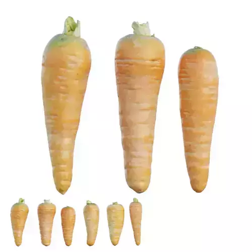 carrot three carrots