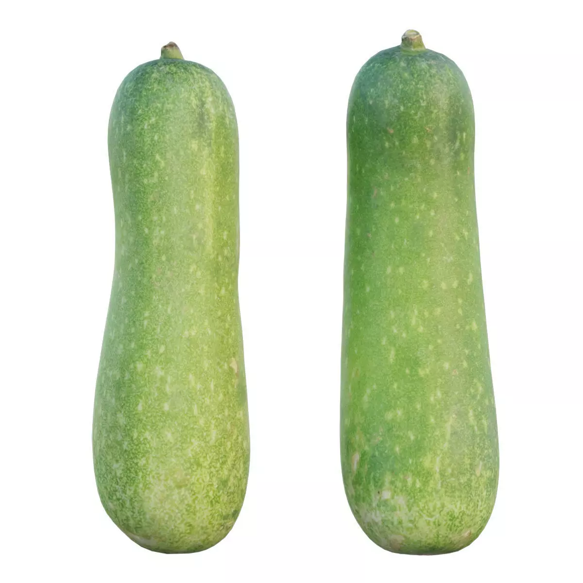 waxy pumpkin 3D model