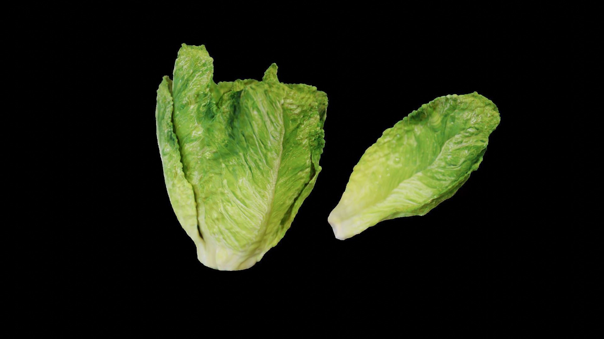 Lettuce Hyper-realistic 3D model_2