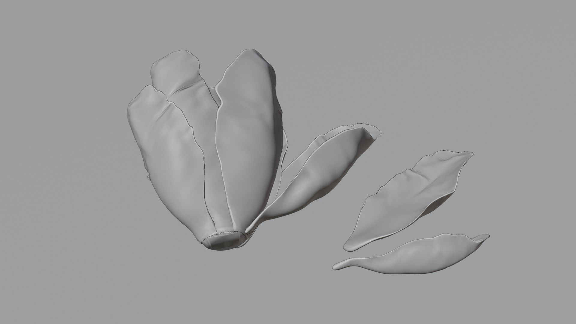 Lettuce Hyper-realistic 3D model_1