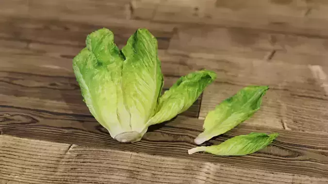 Lettuce Hyper-realistic 3D model